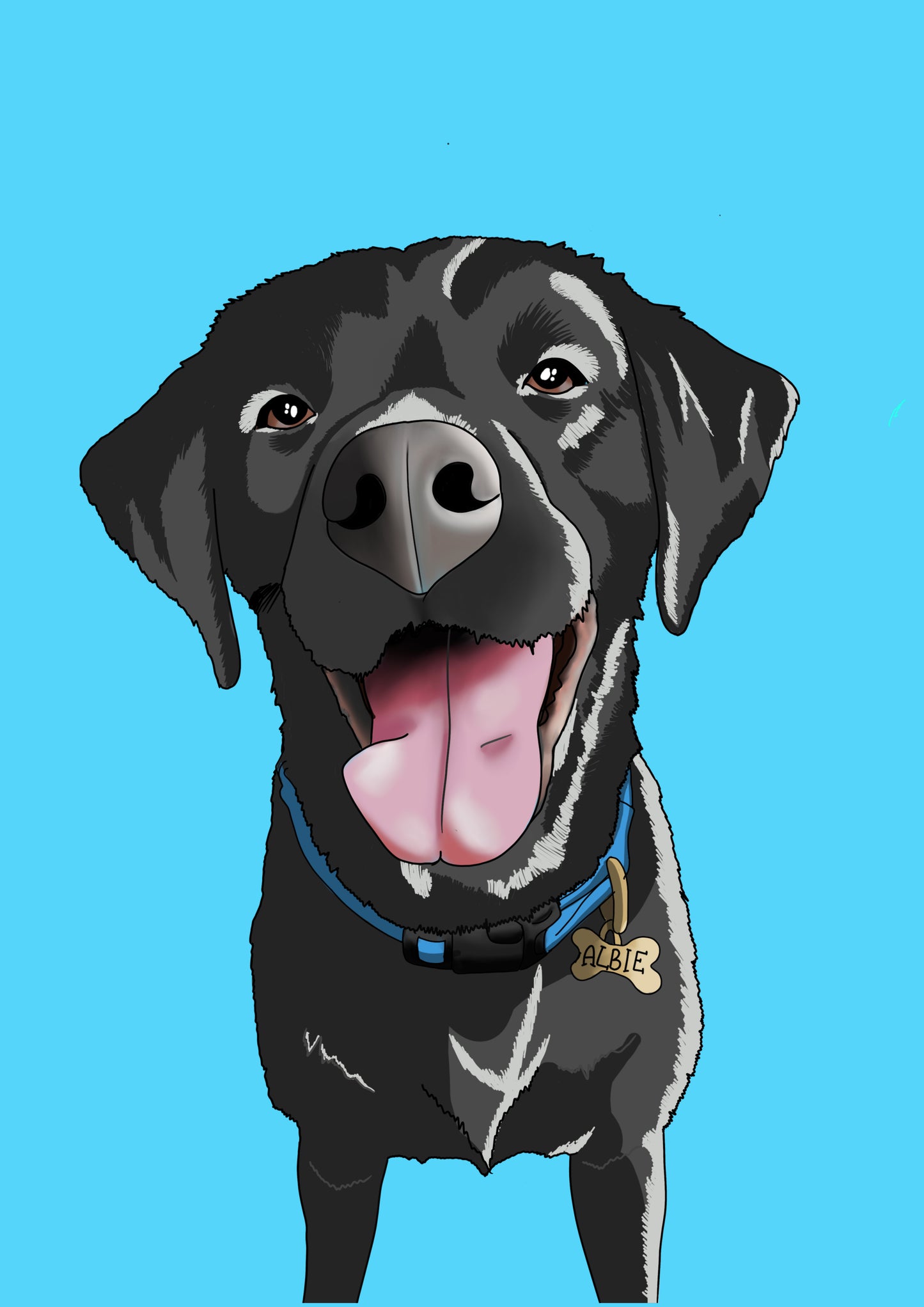 Custom Illustrated Dog Portrait | Birch Studios
