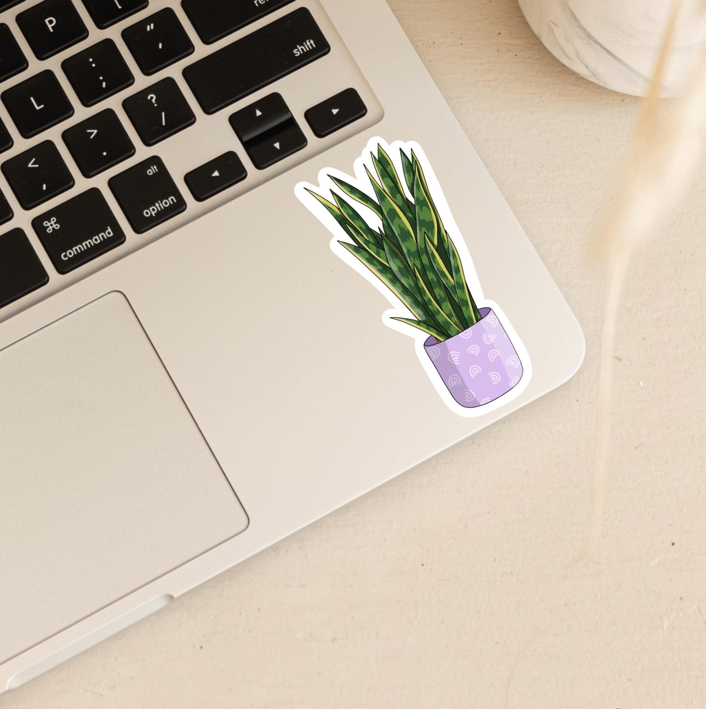 Snake Plant Sticker