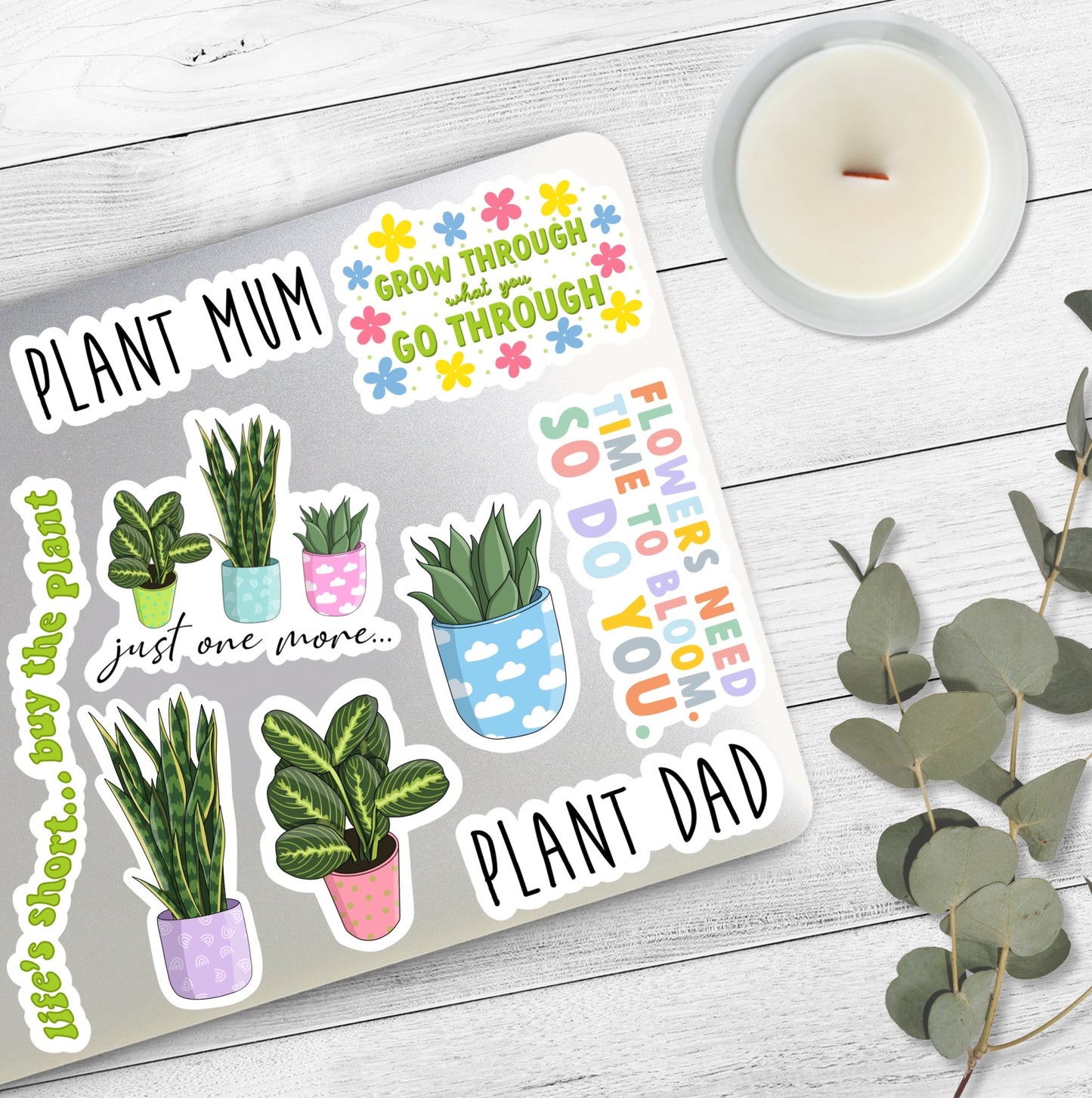 Snake Plant Sticker