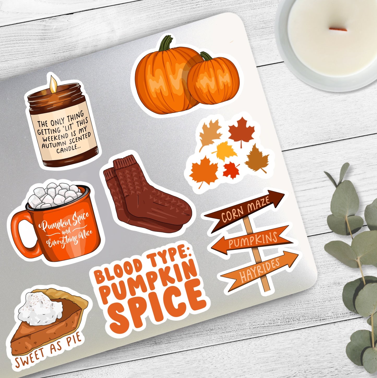 Autumn Vibes Sticker Bundle