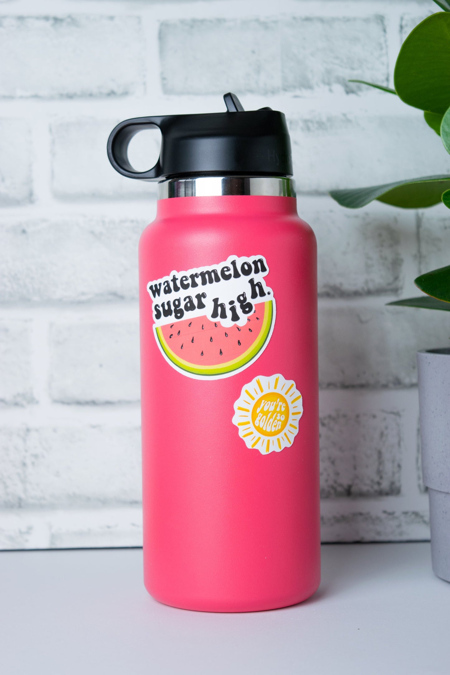 Watermelon Sugar High Sticker | Harry Styles Sticker