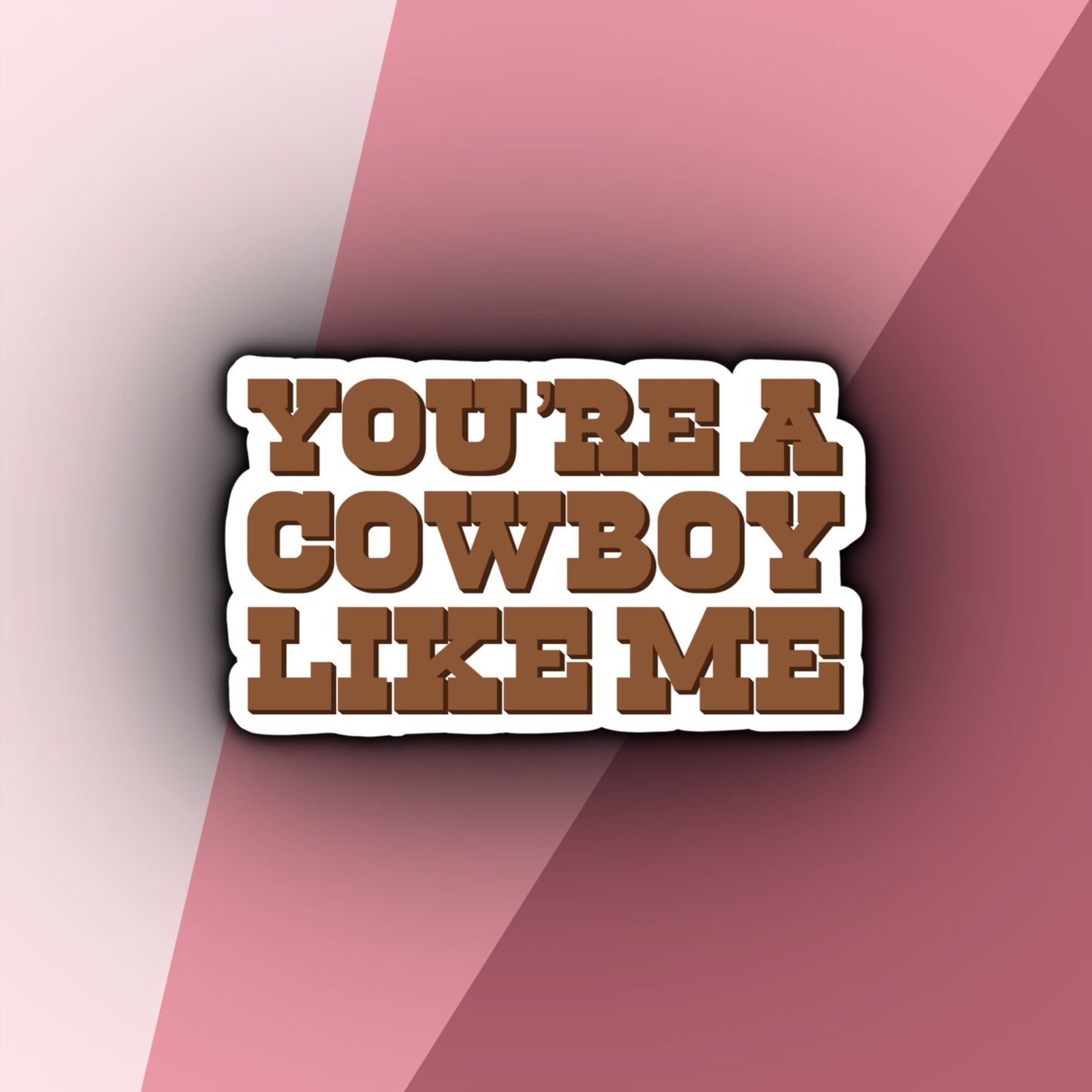 You're a Cowboy Like Me | Taylor Swift Evermore Stickers | Evermore Album