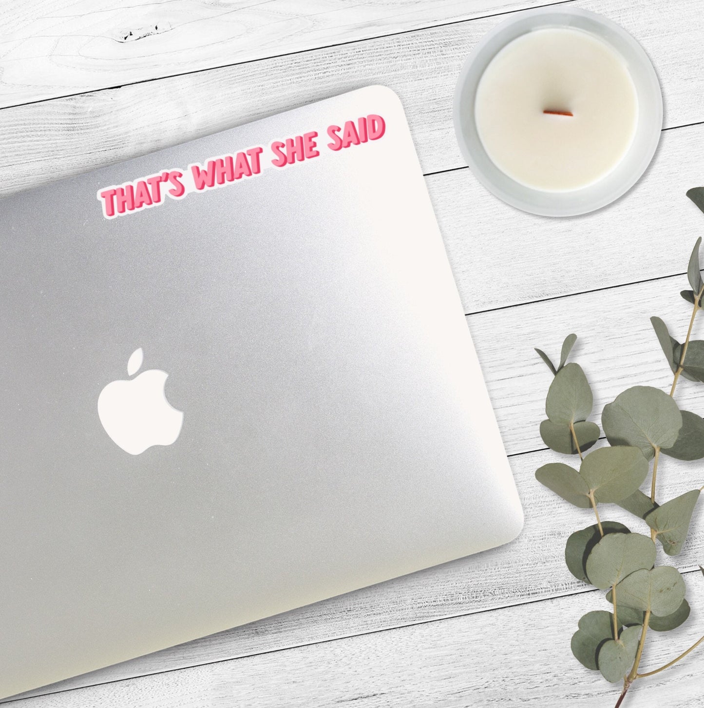 That’s What She Said | Michael Scott | Office Stickers