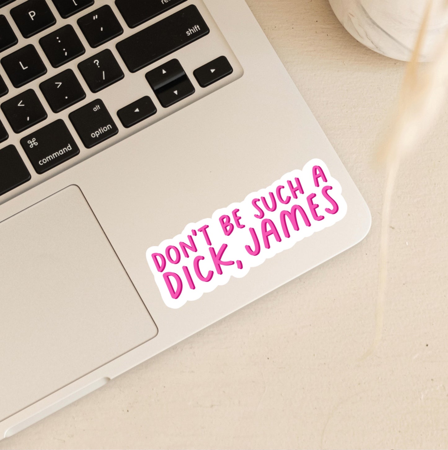 Don't Be Such a Dick James | Derry Girls Stickers