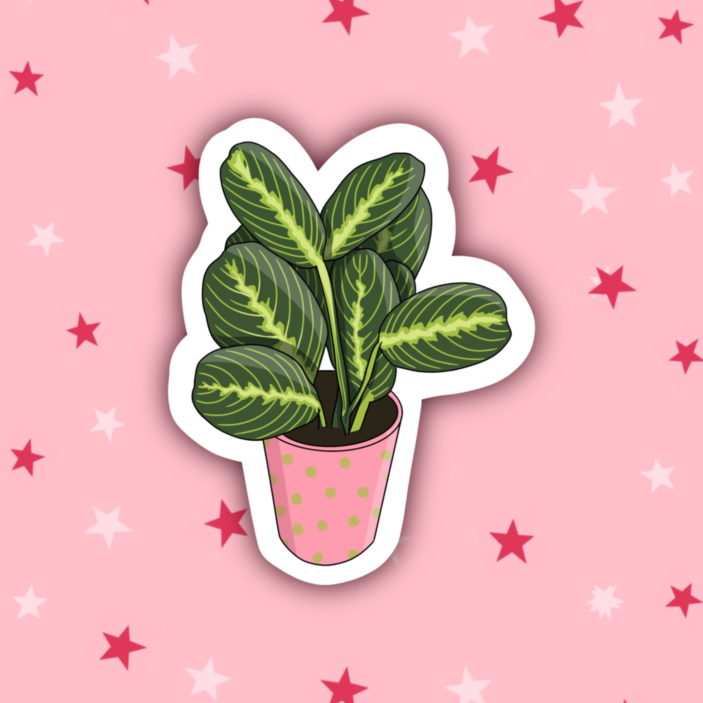 Plant Lover Sticker Bundle | 9 Stickers