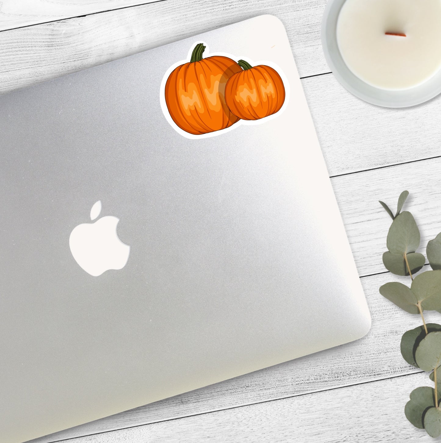 Pair of Pumpkins | Autumn Vibes