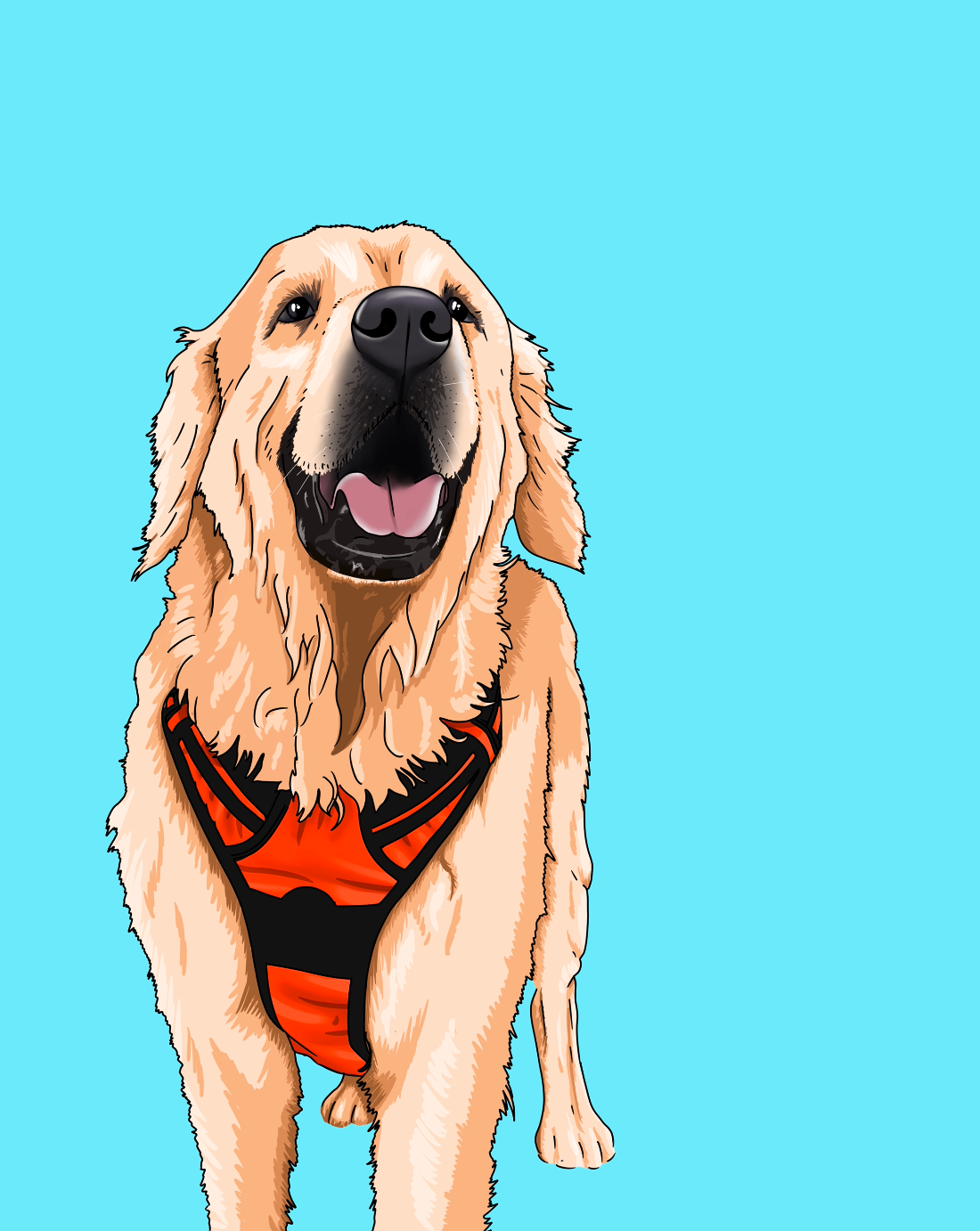 Custom Illustrated Dog Portrait | Birch Studios