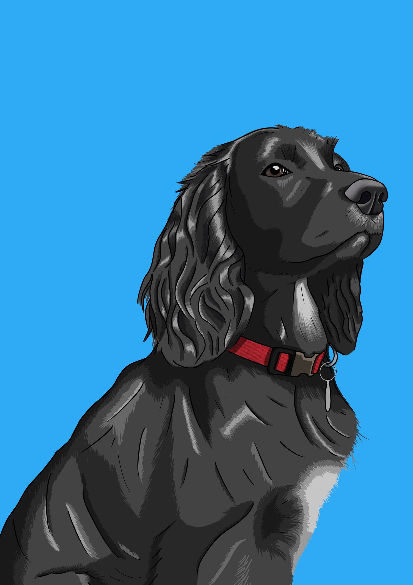 Custom Illustrated Dog Portrait | Birch Studios