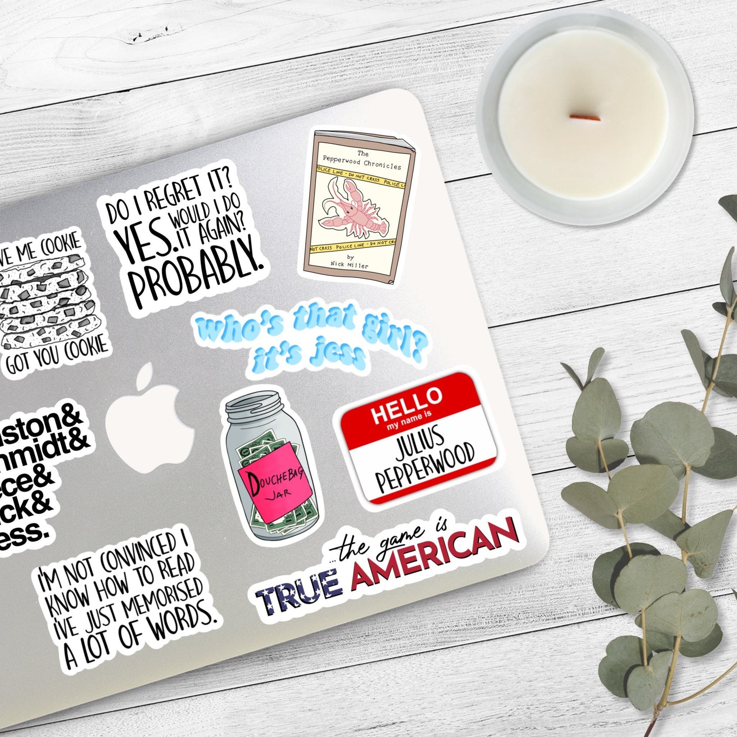 New Girl Sticker Bundle | 9 Stickers | New Girl TV Show