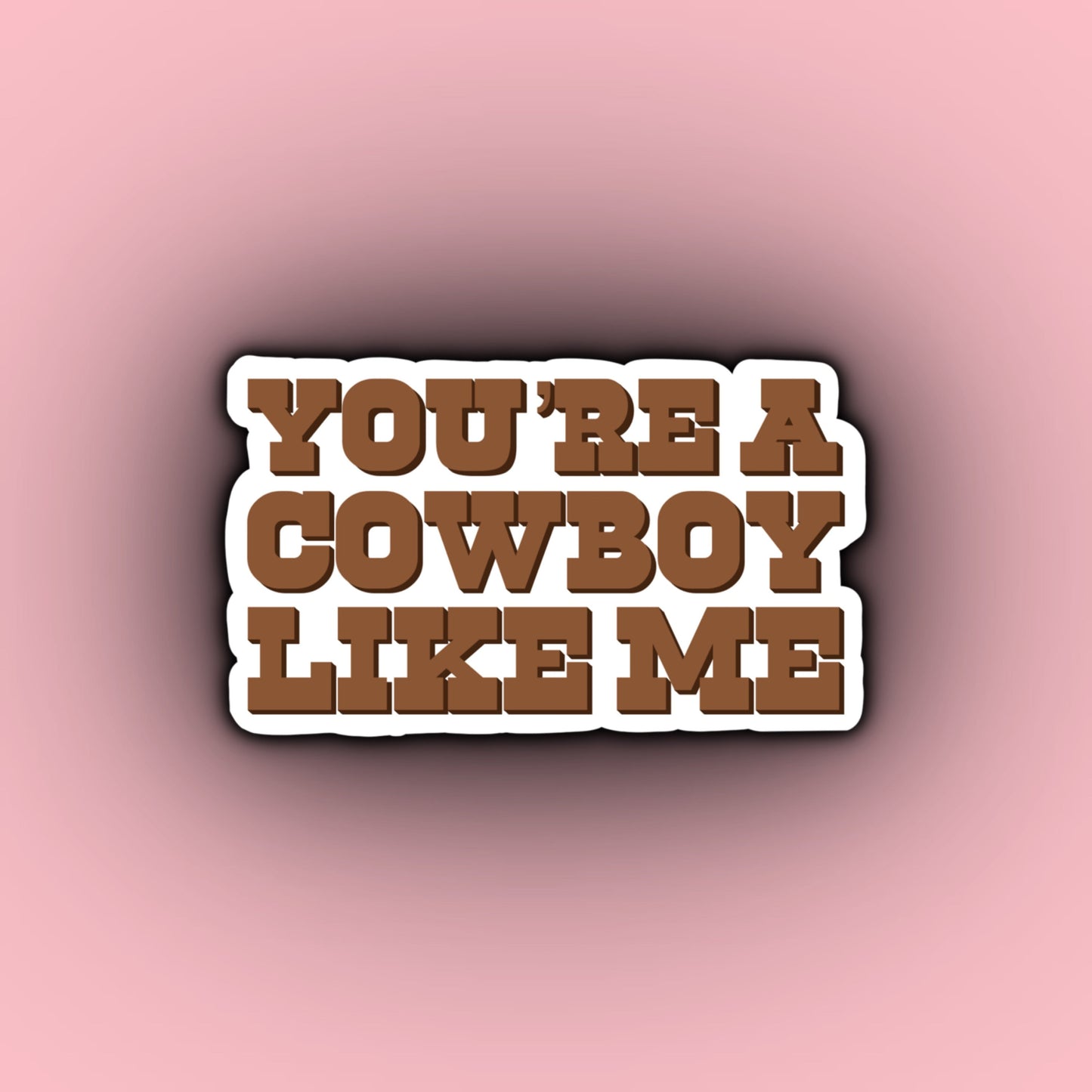 You're a Cowboy Like Me | Taylor Swift Evermore Stickers | Evermore Album