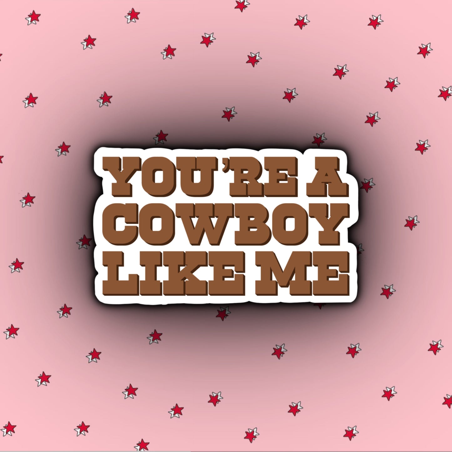 You're a Cowboy Like Me | Taylor Swift Evermore Stickers | Evermore Album