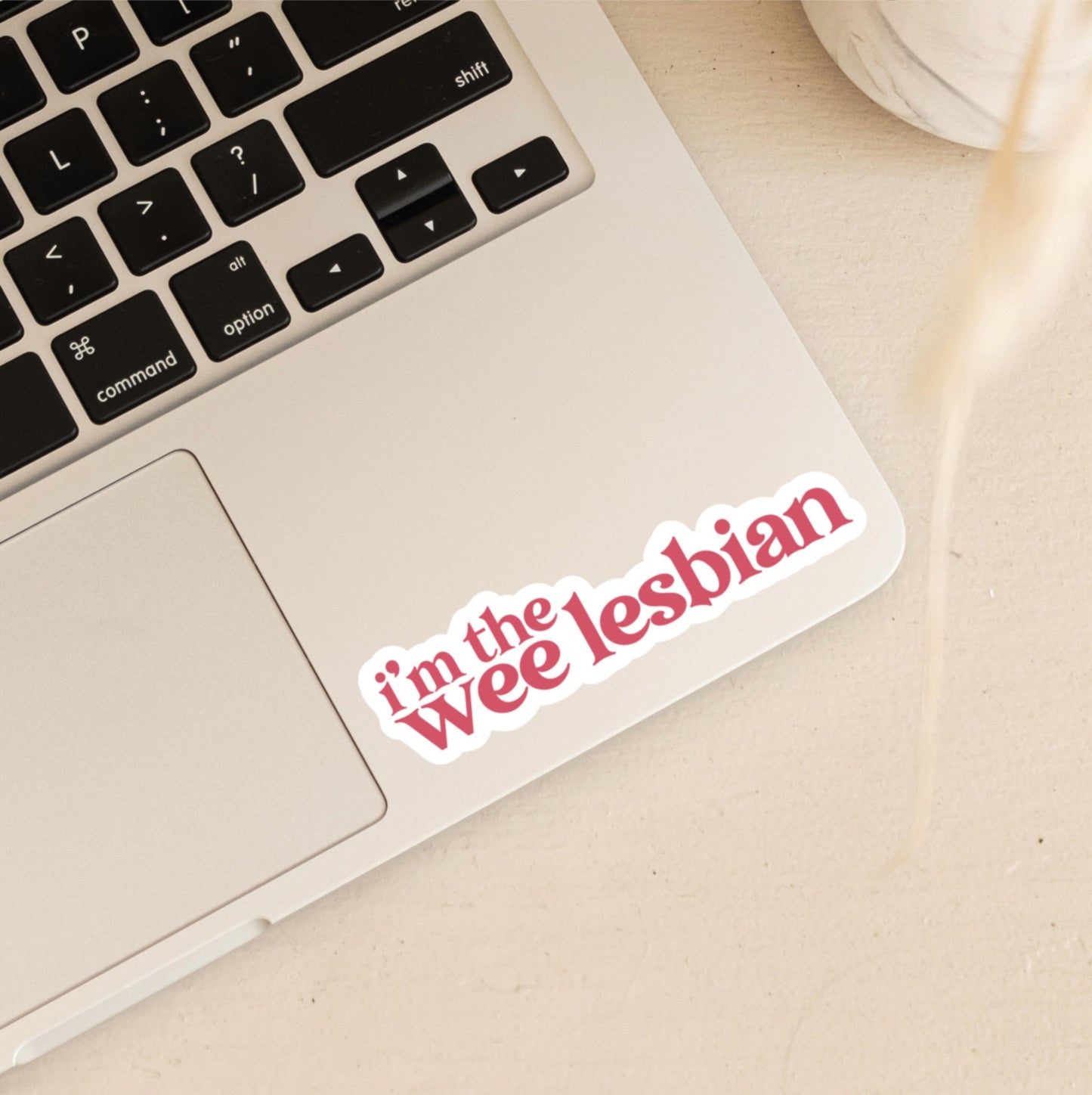 I'm the Wee Lesbian! | Clare | Derry Girls Stickers