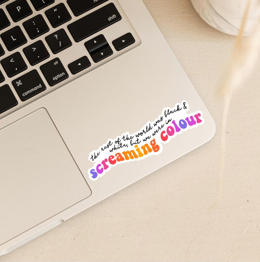 The Rest of the World Was Black & White, But We Were in Screaming Colour | 1989 Album | Taylor Swift Stickers