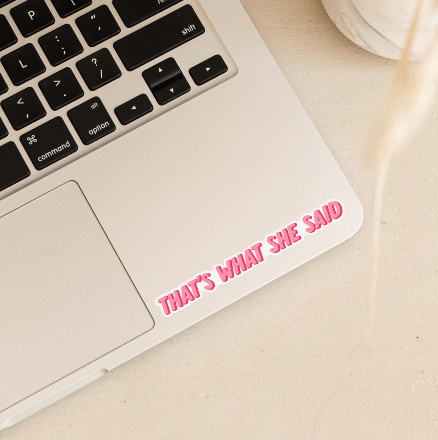That’s What She Said | Michael Scott | Office Stickers