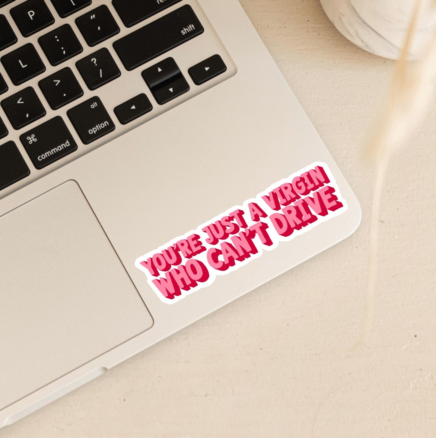 You’re Just a Virgin Who Can’t Drive | Clueless Stickers
